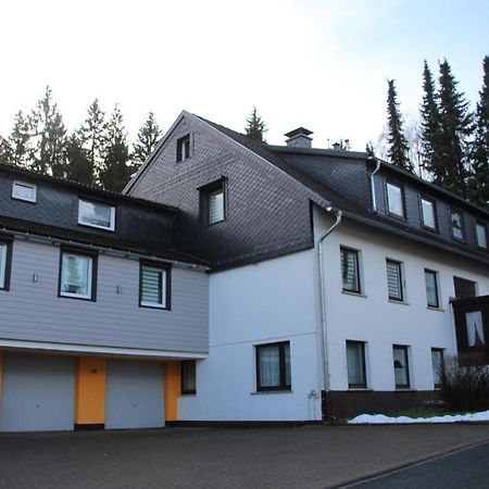 Cozy Braunlage Apartment Ngoại thất bức ảnh